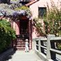 Filbert Steps