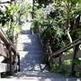 Filbert Steps