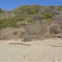 El Pescador State Beach @ Robert H. Meyer Memorial State Beach (SB) - CFC
