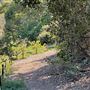 Descanso Gardens