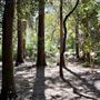 Descanso Gardens