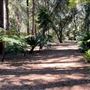 Descanso Gardens