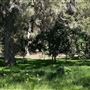Descanso Gardens
