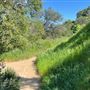 Descanso Gardens
