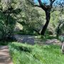 Descanso Gardens