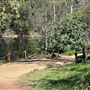 Descanso Gardens