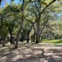 Descanso Gardens