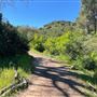 Descanso Gardens