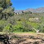 Descanso Gardens