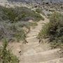 La Piedra State Beach @ Robert H. Meyer Memorial State Beach (SB) - CFC