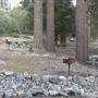 Crystal Lake Recreation Area / Campground - Angeles National Forest
