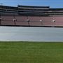 Rose Bowl Stadium
