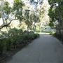 La Brea Tar Pits - George Page Museum