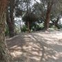 Ernest E. Debs Regional Park