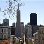 San Francisco Skyline Views