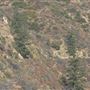 Angeles Crest Highway - SR2