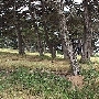 Locke Paddon Park