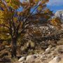 Alabama Hills - Bureau of Land Management / BLM - Bishop Field Office
