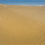 Olancha Sand Dunes - Bureau of Land Management - California Desert District - Ridgecrest Field Office - BLM - Off Highway Vehicle Area - OHV