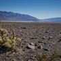 Panamint Dry Lake - BLM