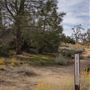 Chimney Peak @ Chimney Peak Wilderness