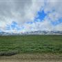 Carrizo Plain National Monument