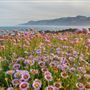 King Range National Conservation Area - Lost Coast
