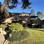 Windsor Square Neighborhood