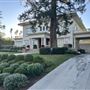 Windsor Square Neighborhood