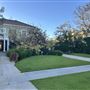 Windsor Square Neighborhood