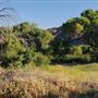 The Painted Turtle Camp