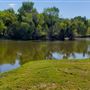 The Painted Turtle Camp