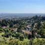 Griffith Park Redwoods - Cedar Grove