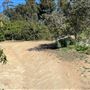 Griffith Park Redwoods - Cedar Grove