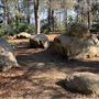 Griffith Park Redwoods - Cedar Grove