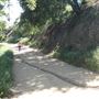 Griffith Observatory - Griffith Park