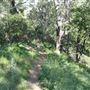 Griffith Observatory - Griffith Park