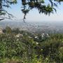Griffith Observatory - Griffith Park