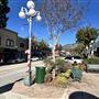 Old Town Monrovia