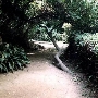 Los Angeles County Arboretum
