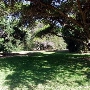 Los Angeles County Arboretum
