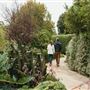 Cambria Pines Lodge & Cambria Christmas Market