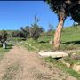 Will Rogers State Historic Park (SHP) & Polo Field