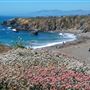 Schoolhouse Beach (Sonoma Coast State Park)