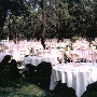 Los Angeles County Arboretum
