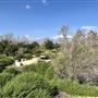 Peck Road Water Conservation Park