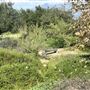 Peck Road Water Conservation Park