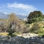 Peck Road Water Conservation Park