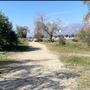 Peck Road Water Conservation Park