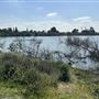 Peck Road Water Conservation Park